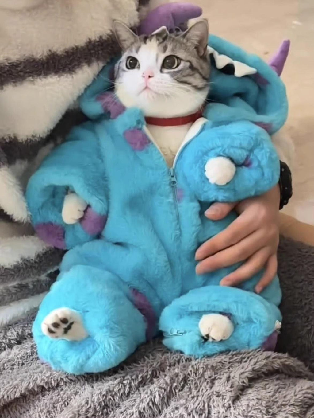 Cute Cat Winter Clothes – 24th Spoke