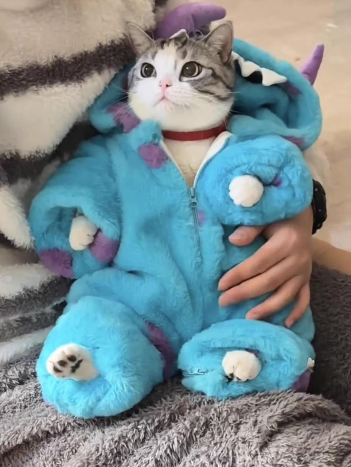 Cute Cat Winter Clothes - 24th Spoke Cute Cat Winter Clothes - 24th Spoke