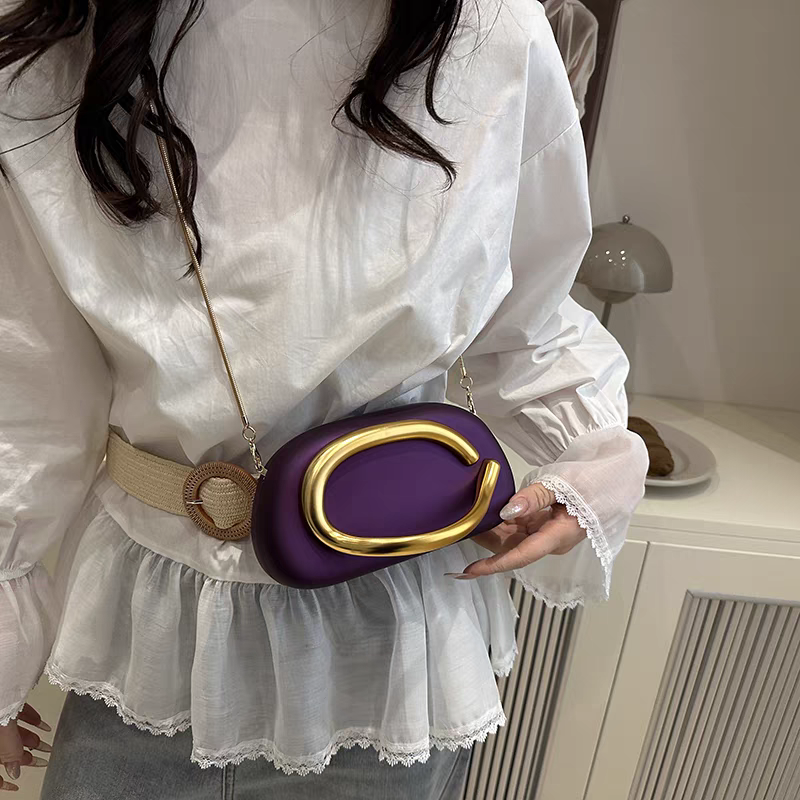 Original Zara Retro Metal Handle Bag