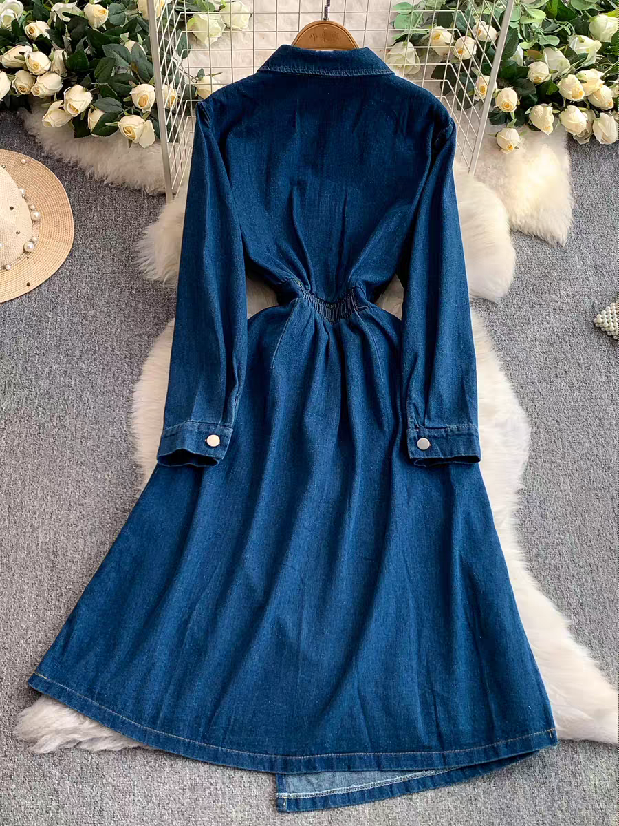 Alicia Denim Dress