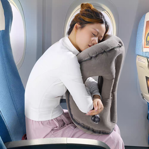 Traveller Pillow