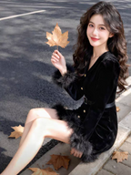 Scarlett Winter Velvet Dress