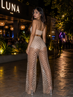 Diane Party Wear Trousers