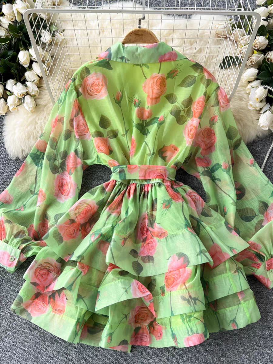 Carey Summer Luxury Party Wear Printed Dress