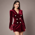 Elliot Winter Velvet Dress