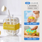 Summer Portable Ice Cube Bottle With Straw