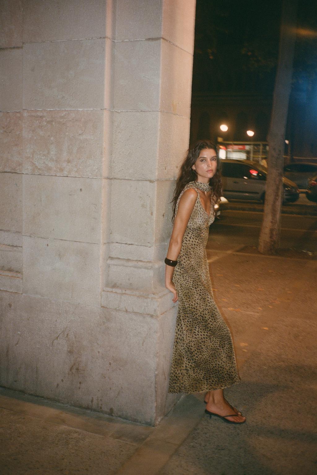 Alyssa Animal Print V Neck Dress