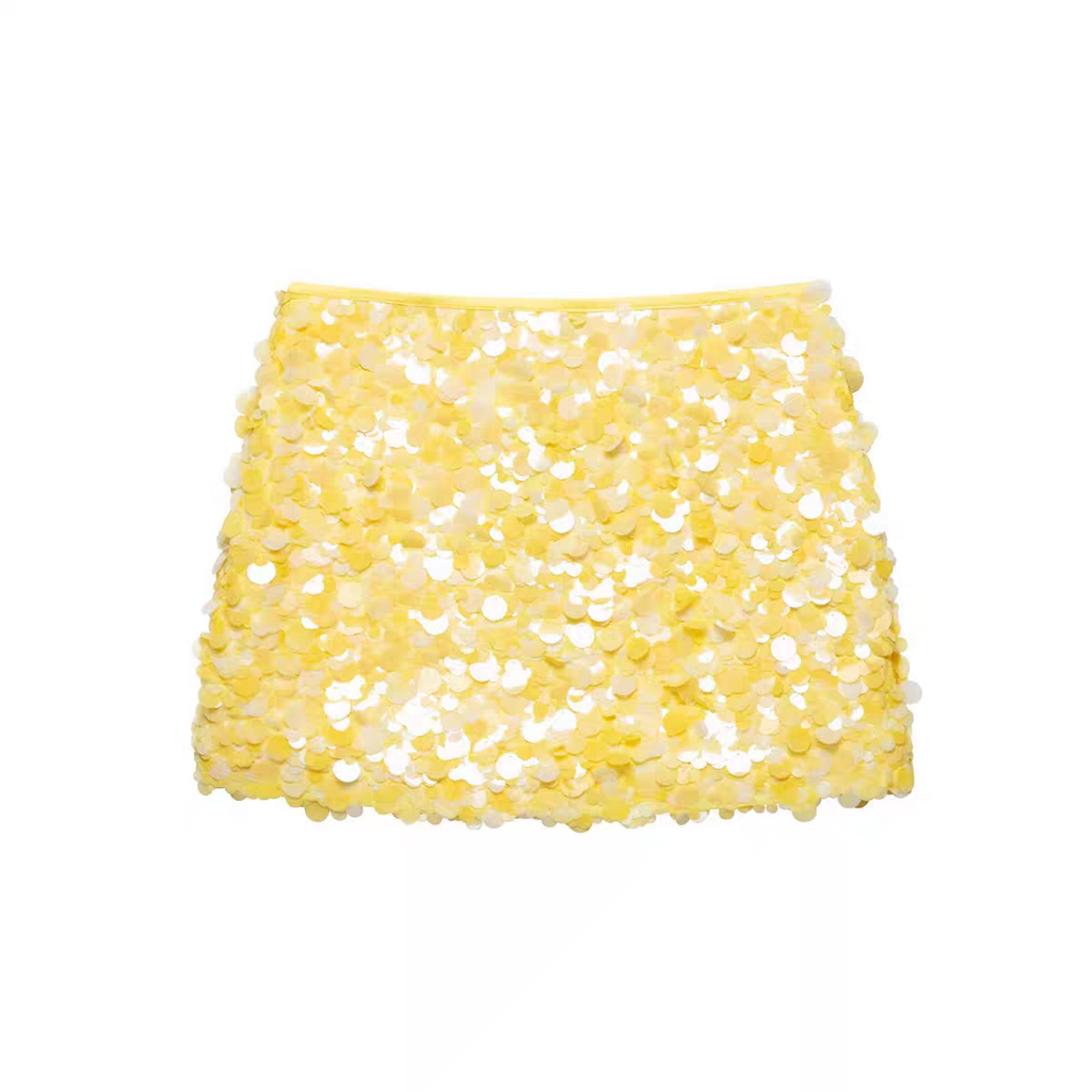 Zara Viral Coin Sequins Skirt