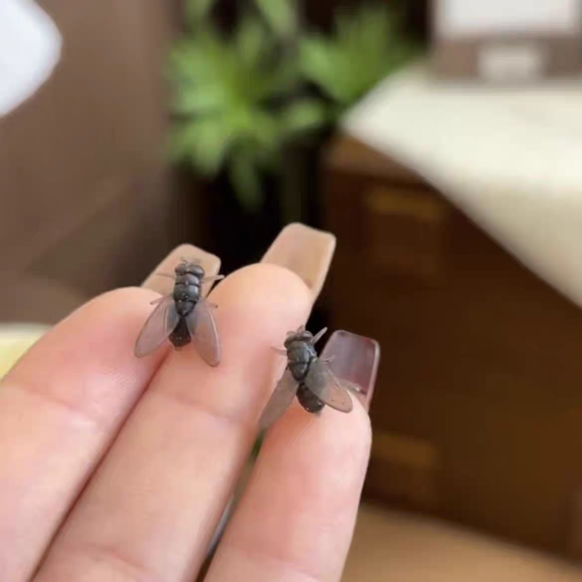 High Quality Flying Earring