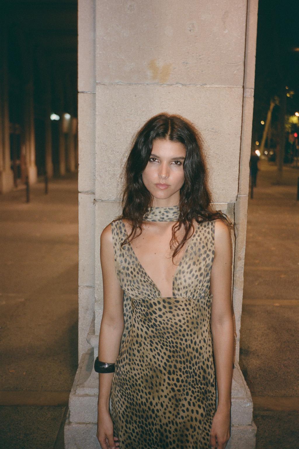 Alyssa Animal Print V Neck Dress