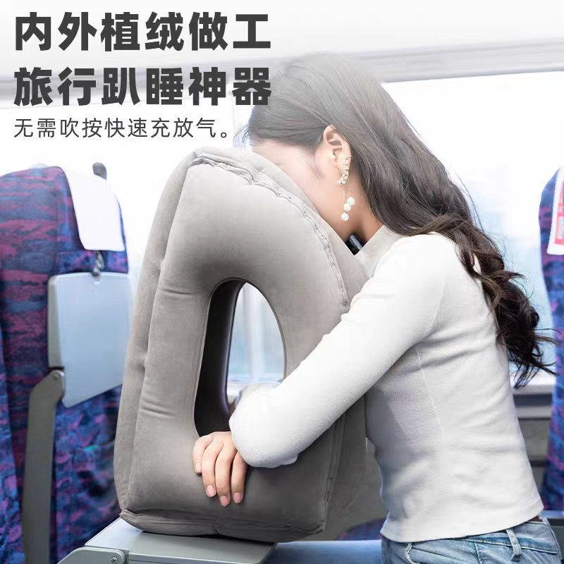 Traveller Pillow
