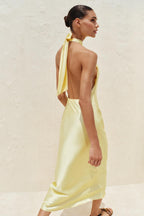 Scarlett Summer Satin Backless Dress