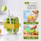 Summer Portable Ice Cube Bottle With Straw