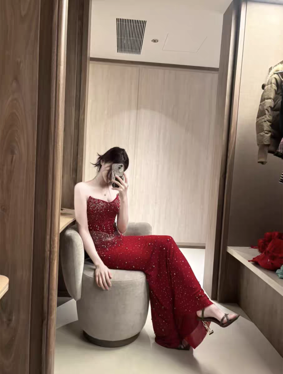 Anna Party Wear Long Dress