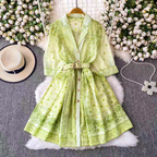 Ashley Summer Luxury Celebrity Mid Length Dress