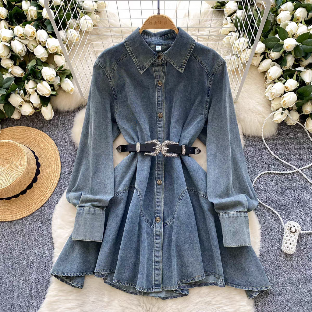 Katherine Summer Denim Dress With Belt