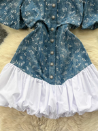 Jennifer Summer Denim Dress