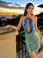 Ashley Sequins Backless Party Dress