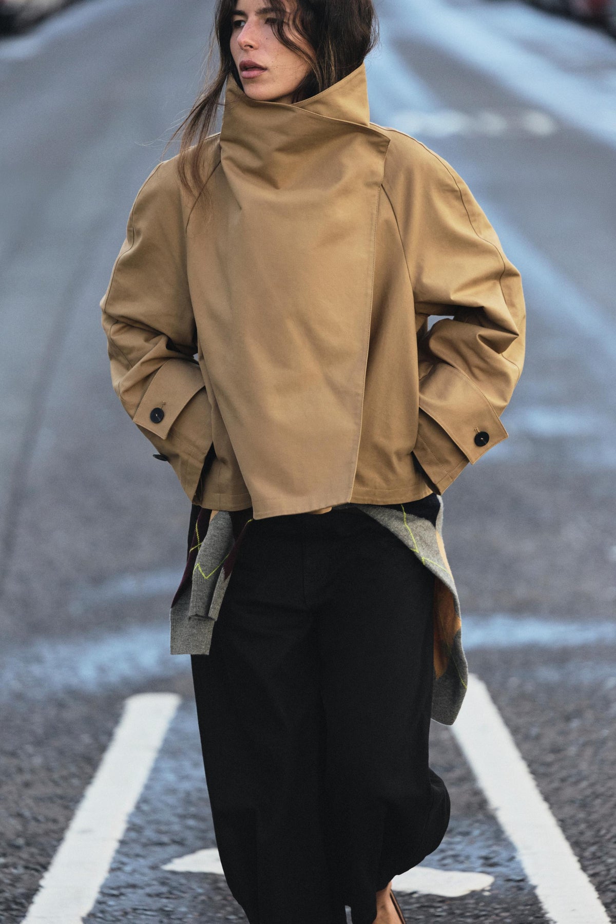 Alison Zara High Neck Jacket