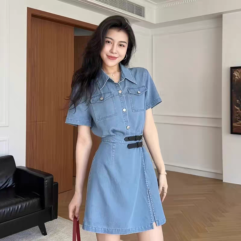 Diane Summer Denim Dress