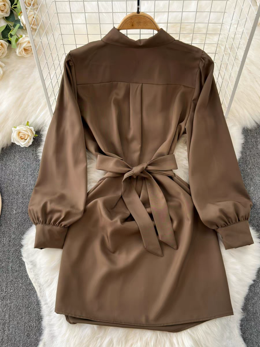 Ellen High-End Professional Shirt Dresses 24th Spoke