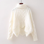 Alison Winter High Neck Sweater