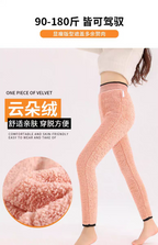 Olivia Winter Warm Legging Pants